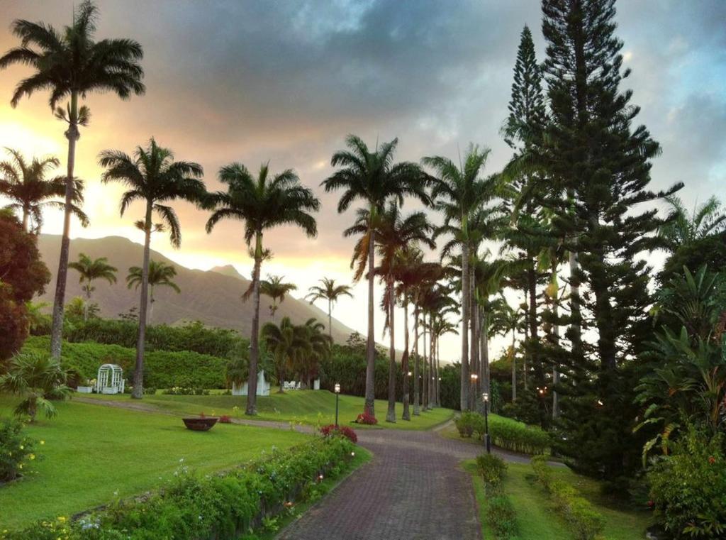 Ottleys Plantation Inn Cayon ภายนอก รูปภาพ
